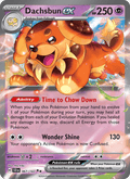 Dachsbun ex - Stellar Crown 067/142
