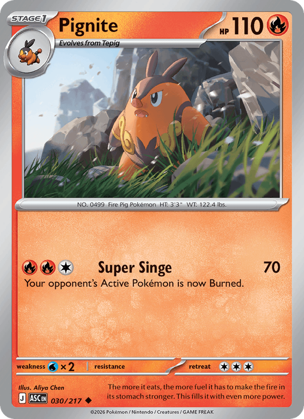 Pignite - Ascended Heroes 030/217