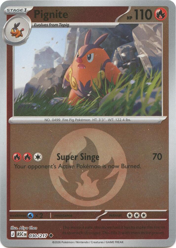 Pignite - Ascended Heroes 030/217 - Energy Reverse Holo