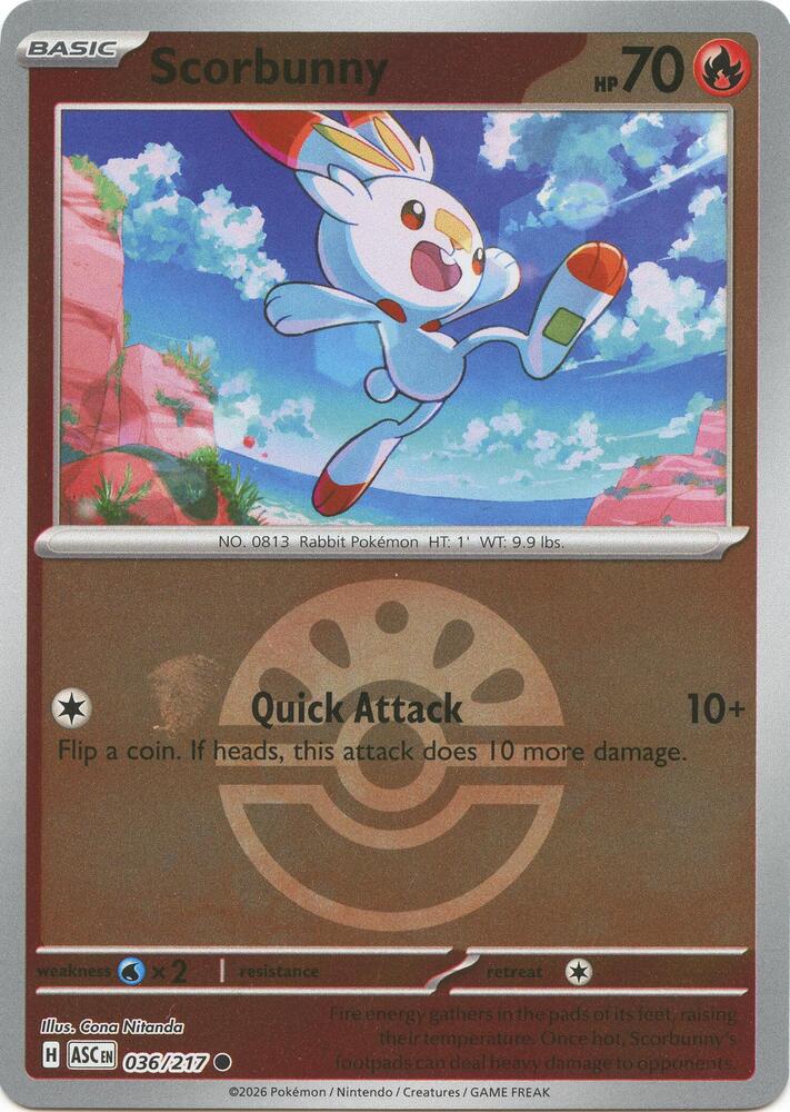 Scorbunny - Ascended Heroes 036/217 - Pokeball Reverse Holo
