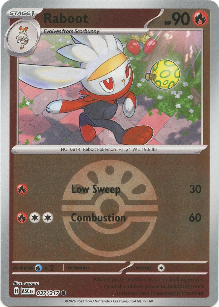 Raboot - Ascended Heroes 037/217 - Pokeball Reverse Holo